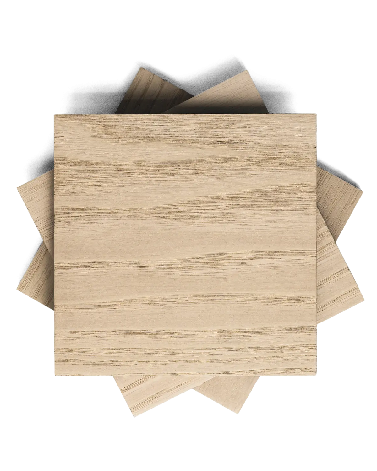 Oyster Ash