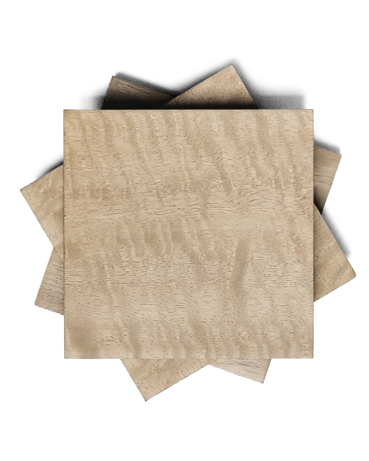 Latte Eucalyptus
